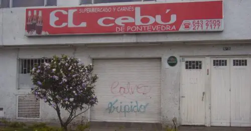 EL CEBU DE PONTEVEDRA EL CEBU DE PONTEVEDRA